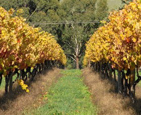 Wild Dog Winery & Restaurant - New South Wales Tourism  0