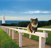 Cape Otway Lightstation - New South Wales Tourism 