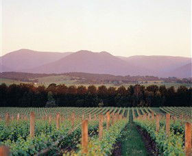 Domaine Chandon - New South Wales Tourism  0