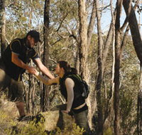 Greater Bendigo National Park - New South Wales Tourism 