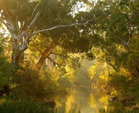 Brimbank Park - New South Wales Tourism  0