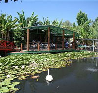 Blue Lotus Water Garden - New South Wales Tourism 