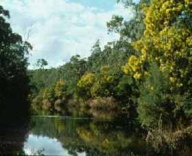 Warrandyte State Park - New South Wales Tourism  0