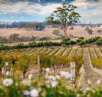 Redesdale Estate - New South Wales Tourism 