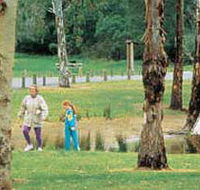 Westerfolds Park - New South Wales Tourism 
