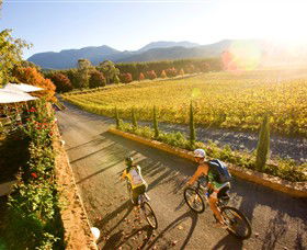 Boyntons Feathertop Winery - New South Wales Tourism  0