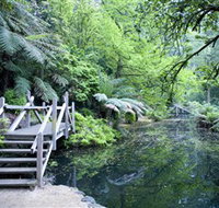 Alfred Nicholas Gardens - New South Wales Tourism 