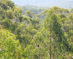 Bunyip State Park - New South Wales Tourism  0