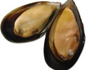 St Leonards VIC New South Wales Tourism 