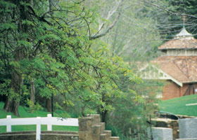 Hepburn Regional Park - New South Wales Tourism  0