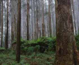  New South Wales Tourism 