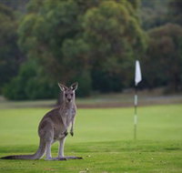 Anglesea Golf Club - New South Wales Tourism 