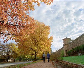 Beechworth Historic Park - New South Wales Tourism  0