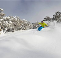 Mt Buller and Mt Stirling Alpine Resort - New South Wales Tourism 
