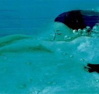 Muse - New South Wales Tourism 
