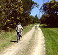 Koomba Park - New South Wales Tourism 