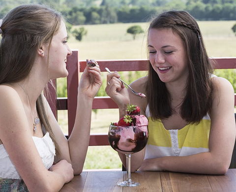 Yarra Valley Chocolaterie & Ice Creamery - New South Wales Tourism  8