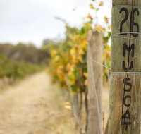 Stanton and Killeen Wines - New South Wales Tourism 