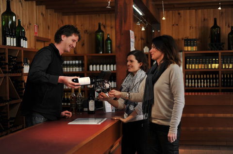 Stanton And Killeen Wines - New South Wales Tourism  1