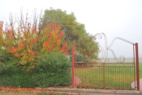 Stanton And Killeen Wines - New South Wales Tourism  4