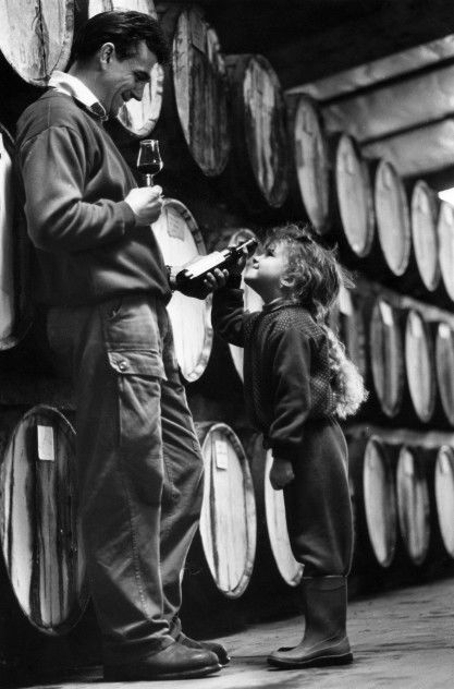 Stanton And Killeen Wines - New South Wales Tourism  11