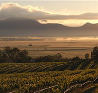 Montara Wines - New South Wales Tourism 