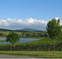 Yarrawood Estate - New South Wales Tourism 