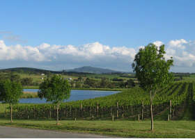 Yarrawood Estate - New South Wales Tourism  0
