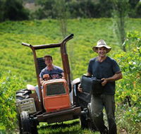 Kellybrook Winery  Kelly Brothers Cider - New South Wales Tourism 