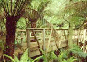 Mount Worth State Park - New South Wales Tourism  0