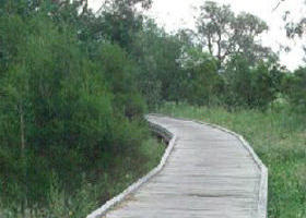 Shepherds Bush - New South Wales Tourism  0
