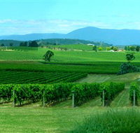 Acacia Ridge Vineyard - New South Wales Tourism 