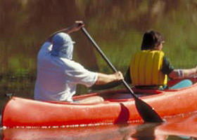 Yarra Bend Park - New South Wales Tourism  0