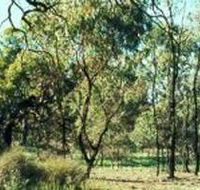 Leaghur State Park - New South Wales Tourism 