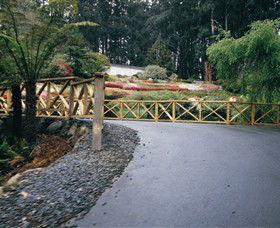 National Rhododendron Gardens - New South Wales Tourism  0