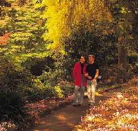 George Tindale Memorial Gardens - New South Wales Tourism 
