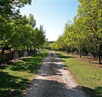 Waybourne Winery - New South Wales Tourism 