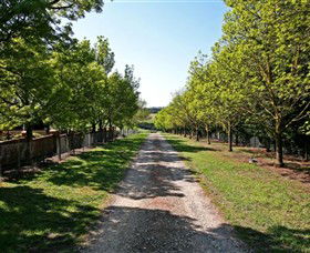 Waybourne Winery - New South Wales Tourism  0