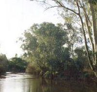 Banksia Park - New South Wales Tourism 