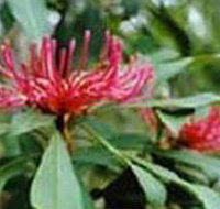 Alfred National Park - New South Wales Tourism 