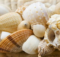 Anglesea Beach Club - New South Wales Tourism 