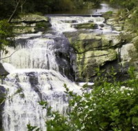 Agnes Falls Scenic Reserve - New South Wales Tourism 