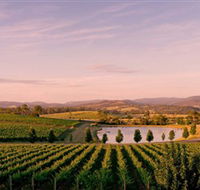 Oakridge Wines - New South Wales Tourism 