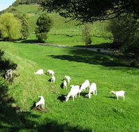 Goats of Gaia Soap - New South Wales Tourism 