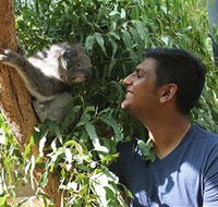 Healesville Sanctuary - New South Wales Tourism 