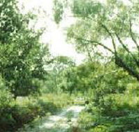 Holey Plains State Park - New South Wales Tourism 