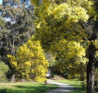 Wattle Park - New South Wales Tourism 