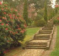 Maroondah Reservoir Park - New South Wales Tourism 