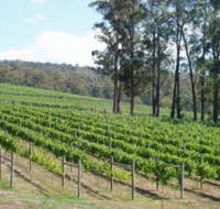 Piedmont Vineyard - New South Wales Tourism 