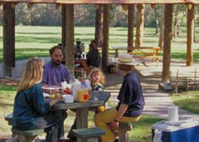 Warburton VIC New South Wales Tourism 